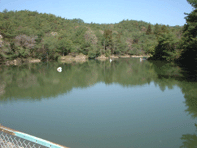 ̒JRԒr