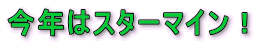 N̓X^[}CI 